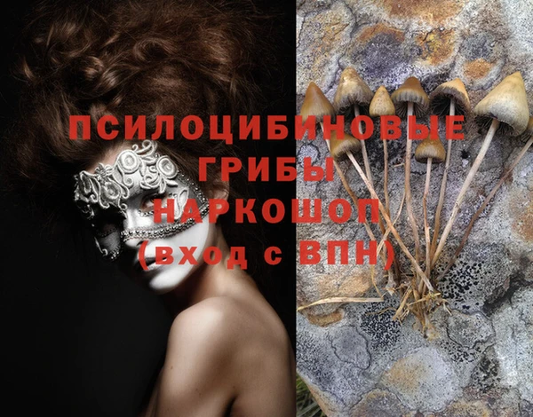 ГАЛЛЮЦИНОГЕННЫЕ ГРИБЫ Куйбышев