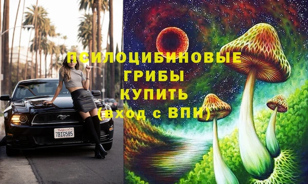 трава Кукмор