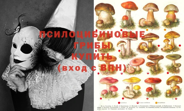 трава Кукмор