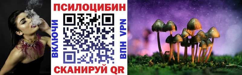 Купить закладки  Оса  Галлюциногенные грибы Cubensis 